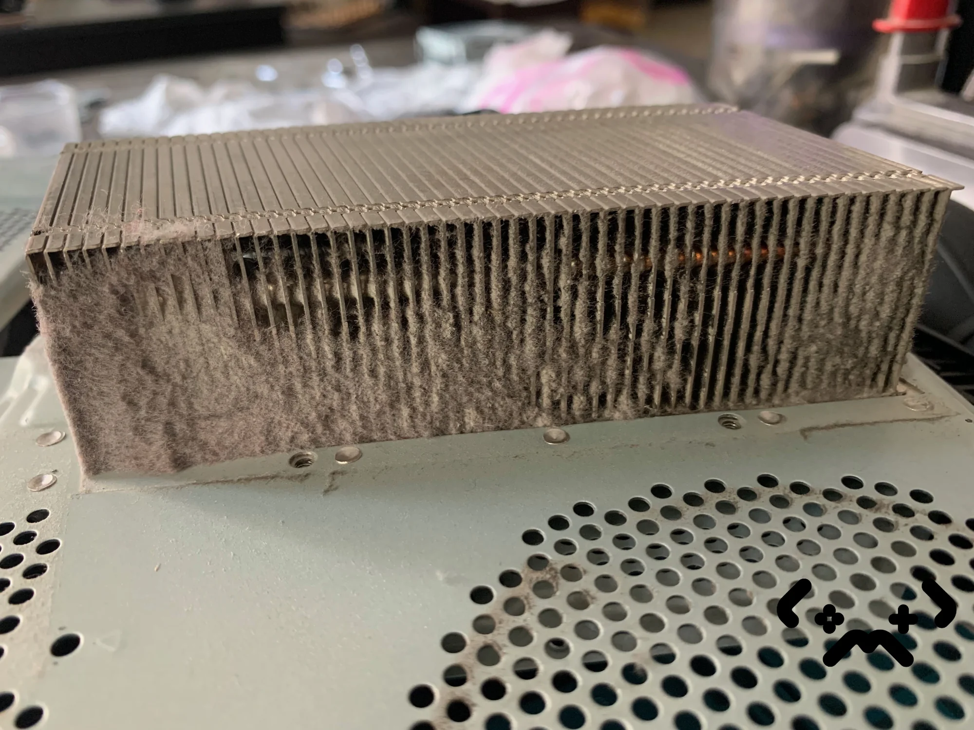 Case #1446