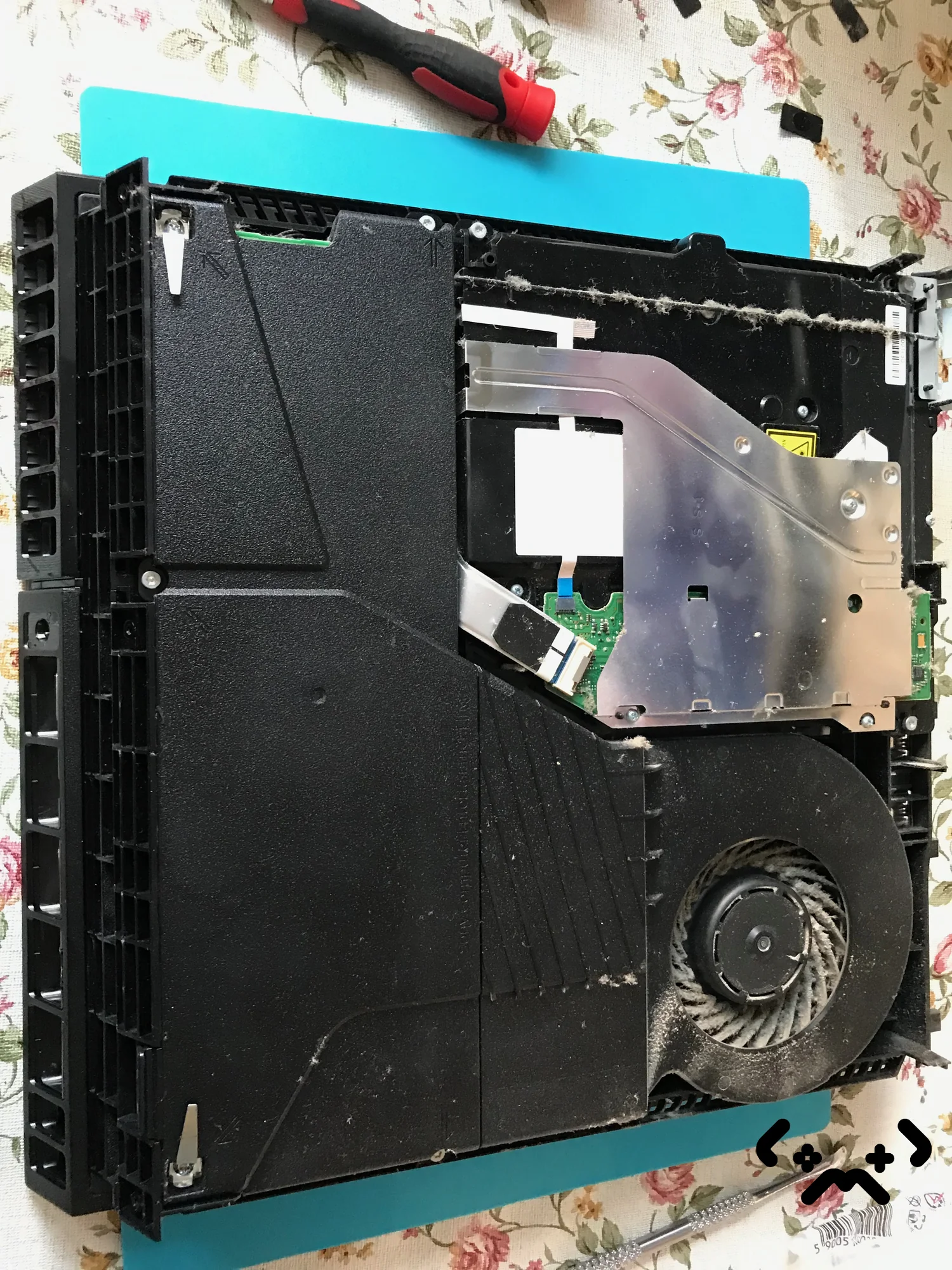 Case #231