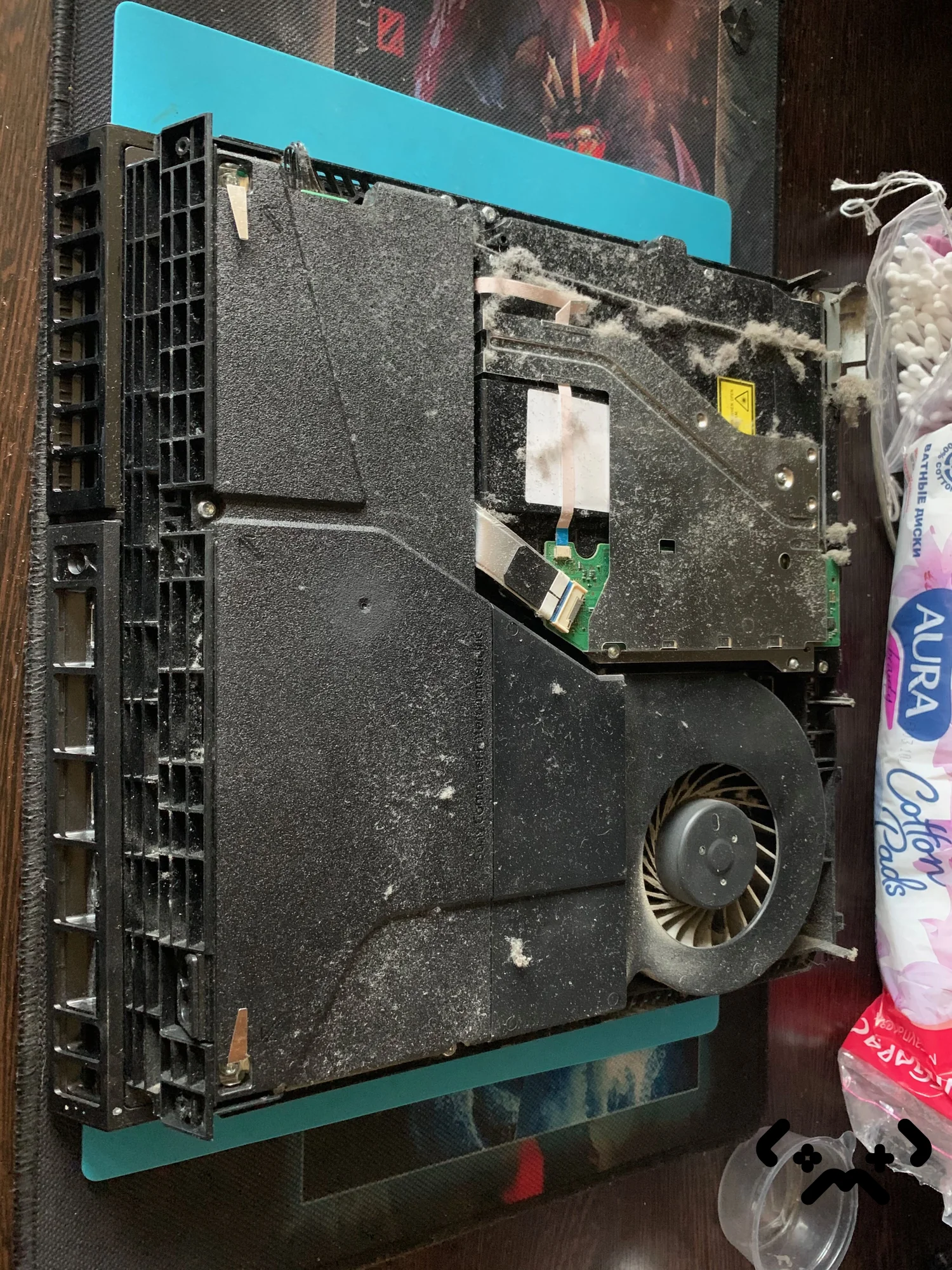 Case #668